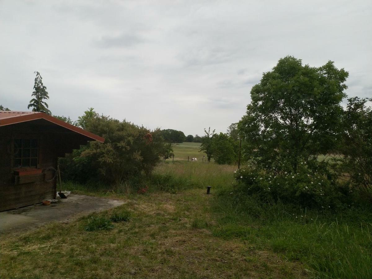New Home Langendorf  Exterior foto